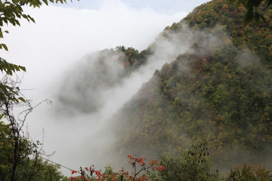 塔云山