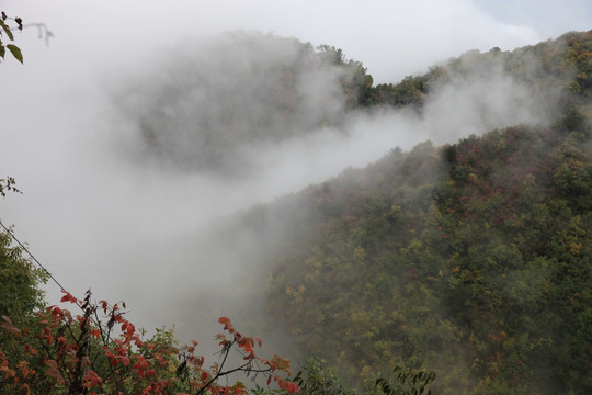 塔云山