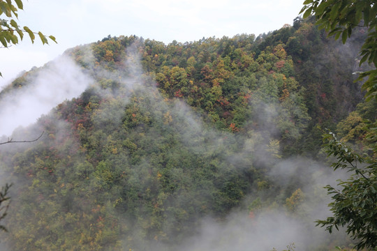 塔云山
