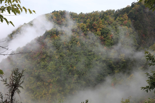 塔云山