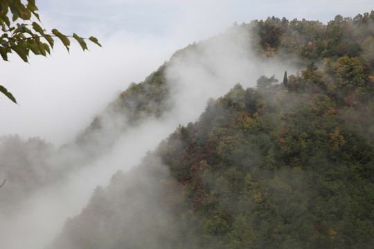 塔云山
