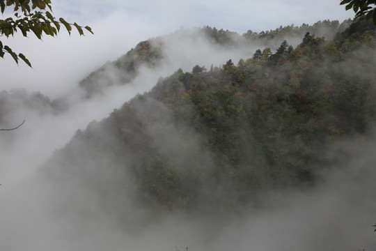 塔云山