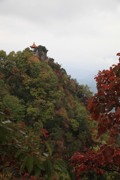 塔云山
