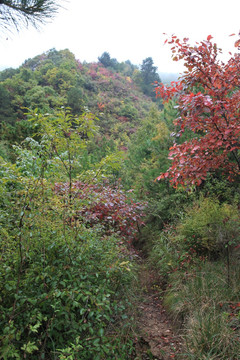 塔云山