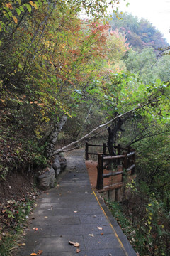 塔云山