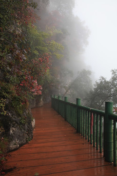 塔云山