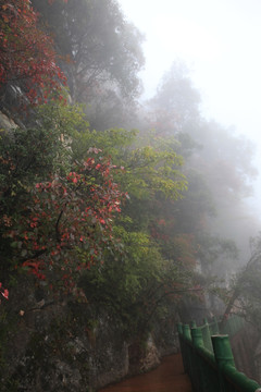 塔云山