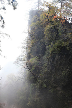 塔云山