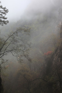 塔云山