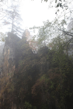 塔云山