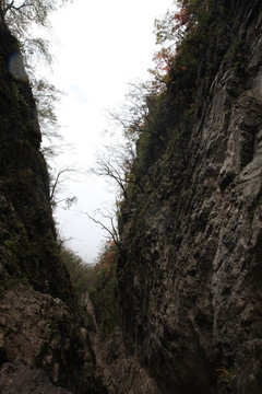 塔云山