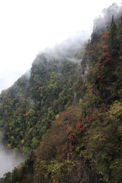 塔云山