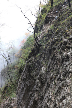 塔云山