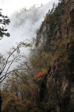 塔云山