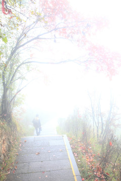 塔云山