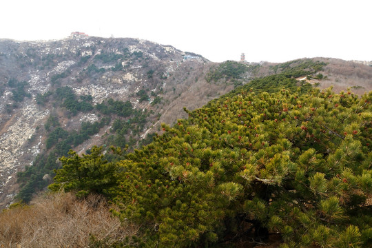 泰山风光