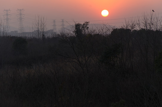 夕阳田野