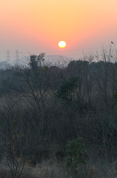 夕阳田野