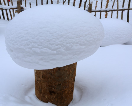 雪蘑菇