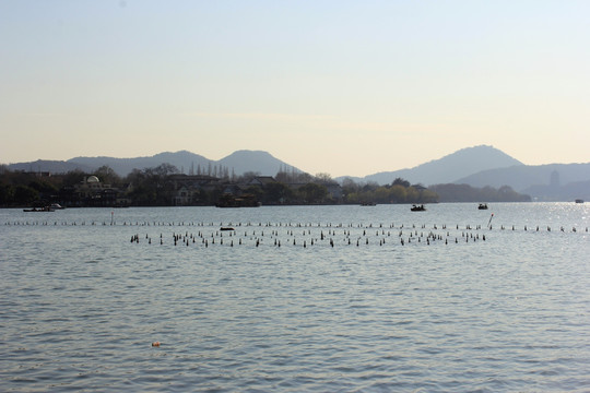 西湖风景