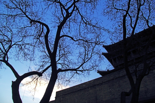城墙与冬天的树
