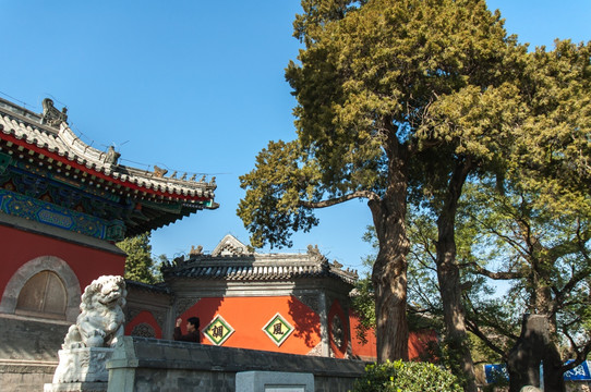 大觉寺建筑景观