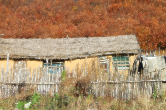 山村秋色
