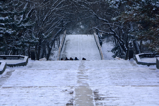 沈阳东陵公园雪景