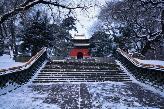 沈阳东陵公园雪景