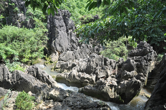 贵州安顺天星桥景区水上石林