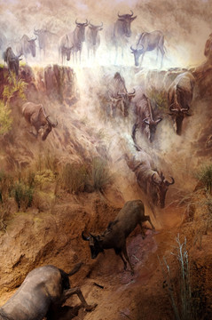 非洲动物迁徙展