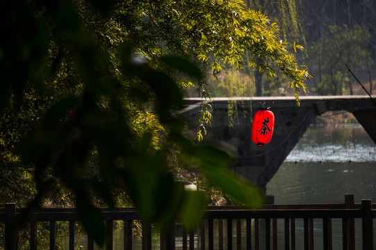 旅游 西湖