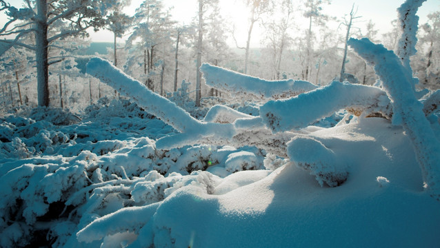 雪景