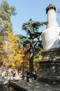 大觉寺旅游风光