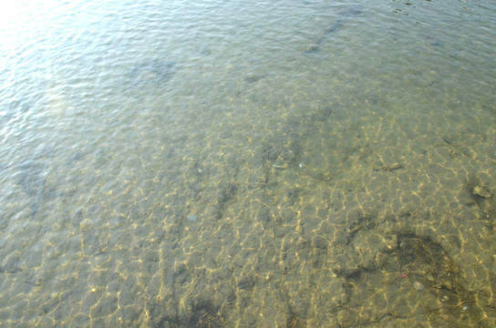 水光