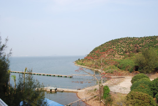 海边山庄风景图