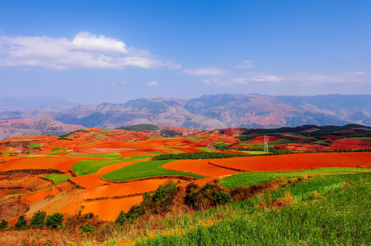 东川红土地