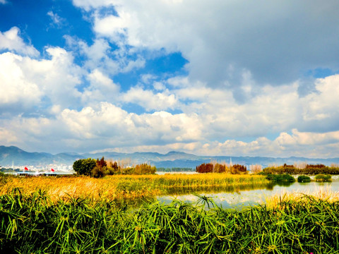 湿地（非高清）