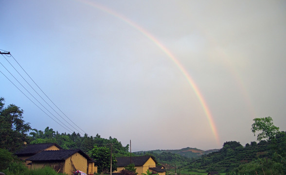 山村 彩虹