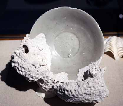 宋代青白釉瓷碗与珊瑚胶结块