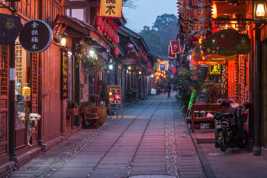 都江堰西街夜景