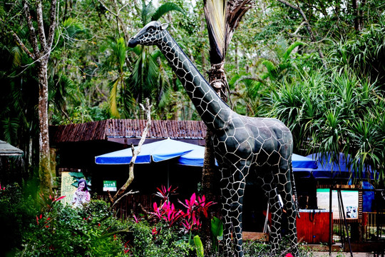 动物雕塑 长颈鹿