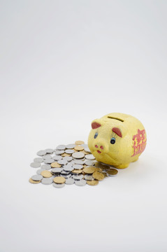 小金猪储钱罐和硬币
