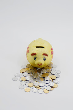 小金猪储钱罐和硬币