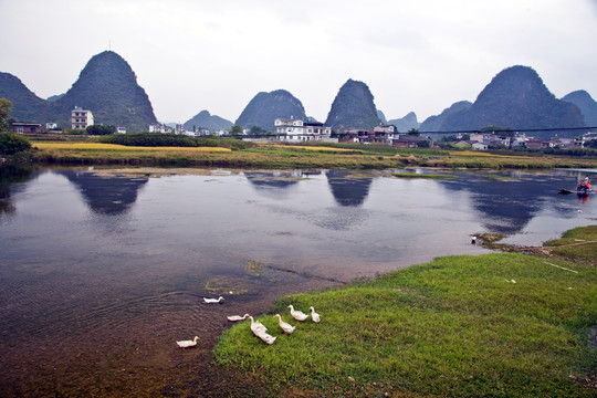 阳朔遇龙河