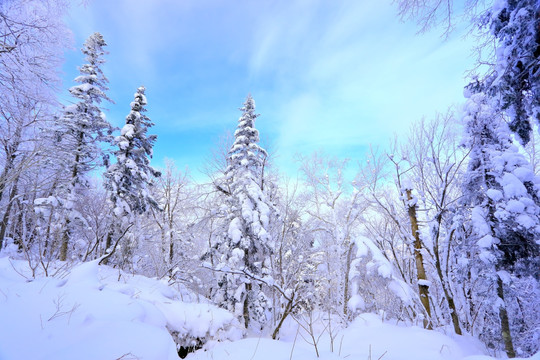 冰雪旅游