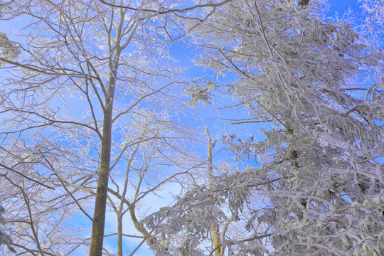 冰雪旅游