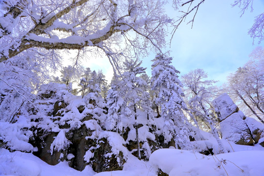 冰雪旅游