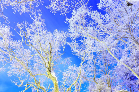 冰雪旅游