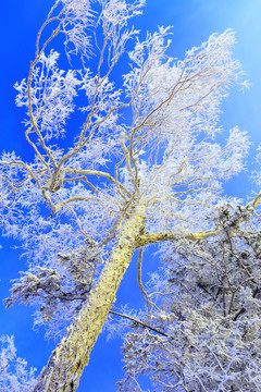 冰雪旅游